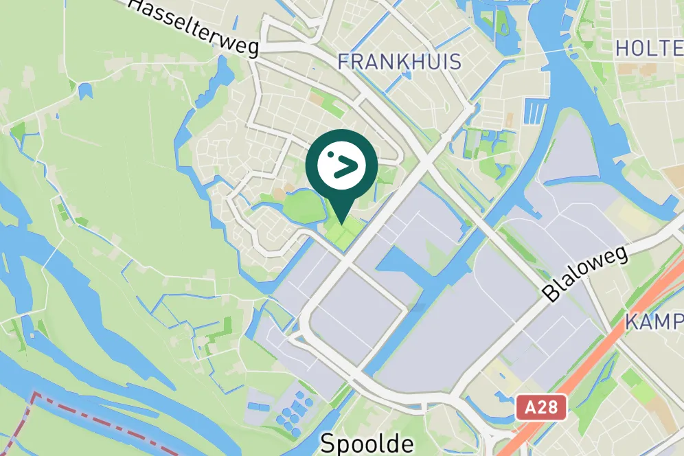 Gespotte Zwarte zwaan