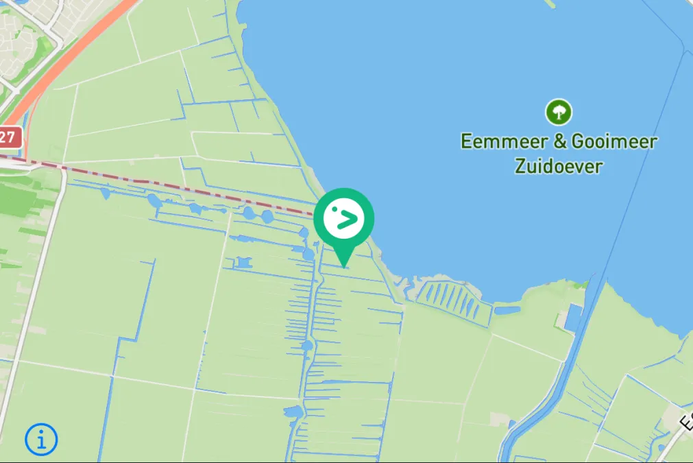 Gespotte Visarend