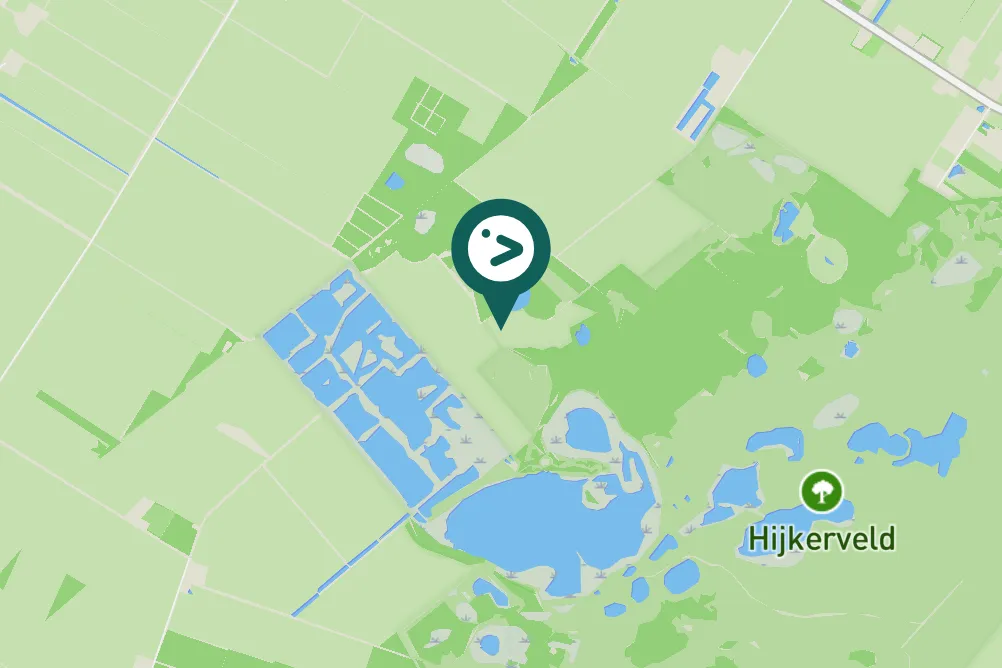 Gespotte Grote zilverreiger