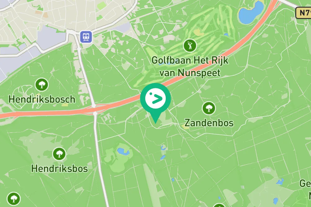 Gespotte Buizerd