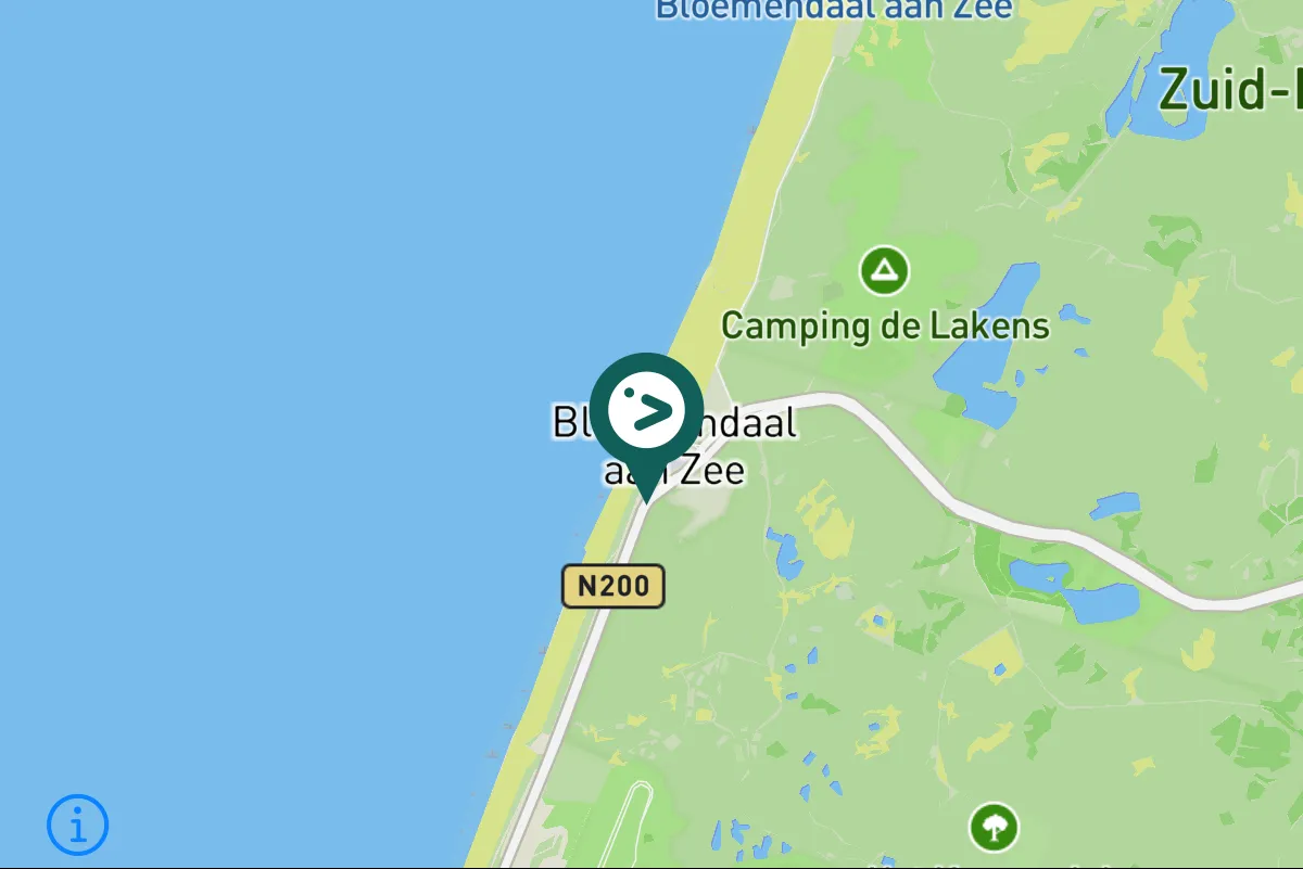 Gespotte Grauwe pijlstormvogel