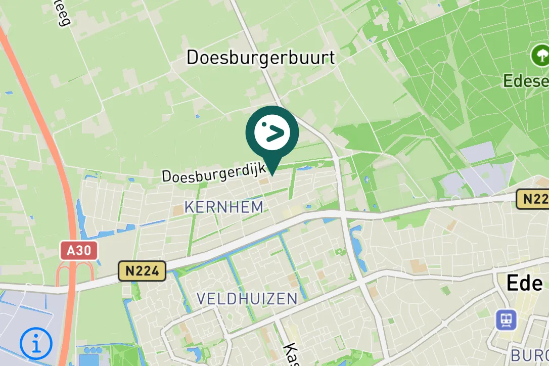 Gespotte Koolmees