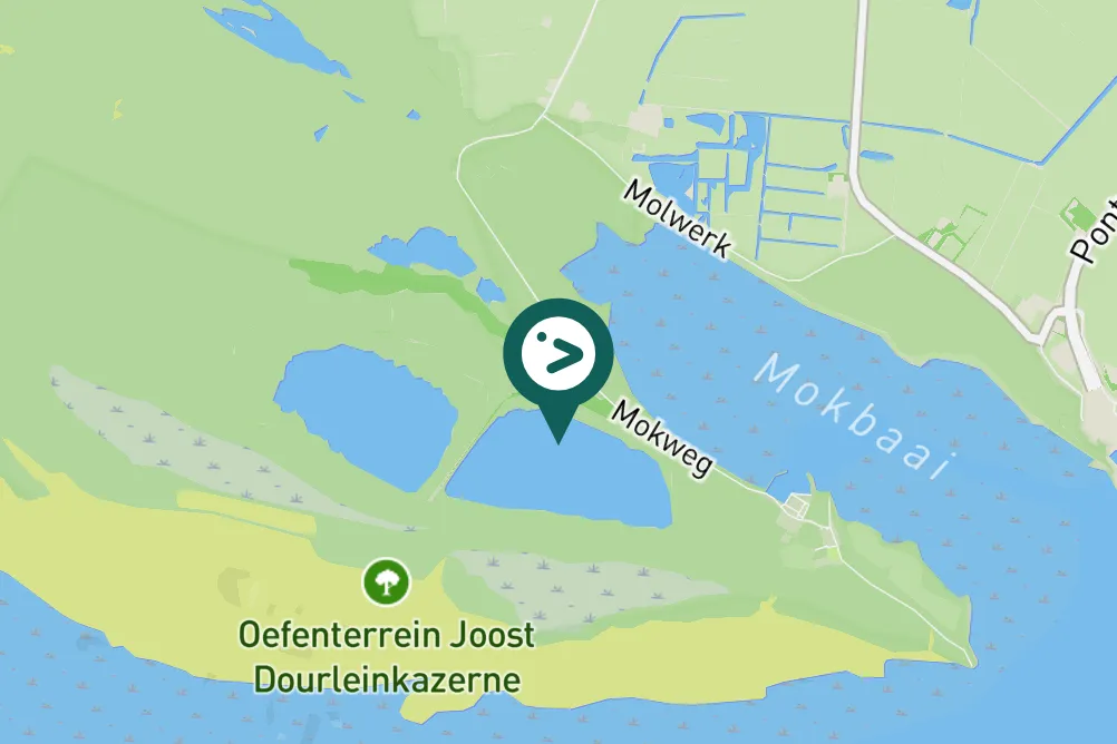 Gespotte Aalscholver