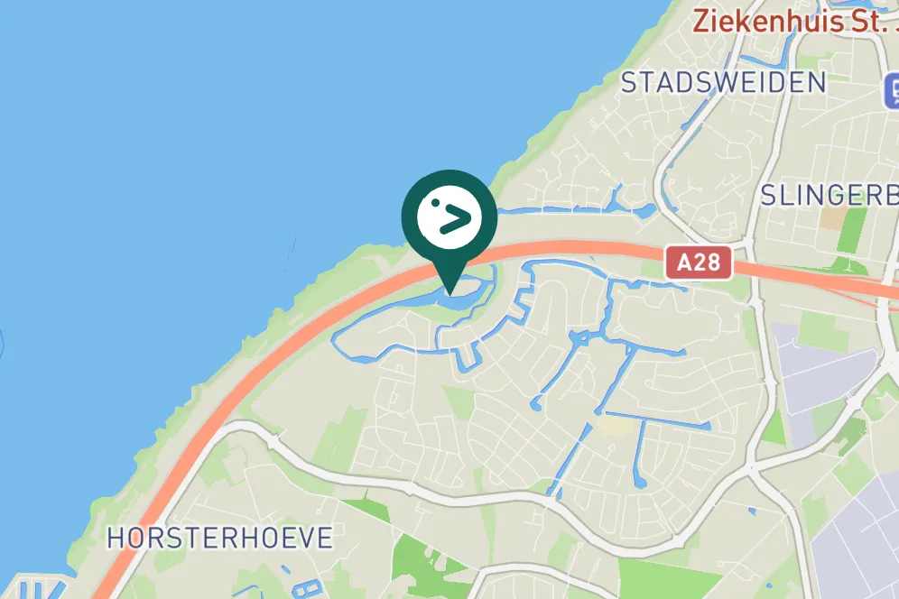 Gespotte Grote Canadese gans