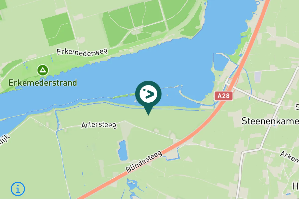 Gespotte Kleine zwaan