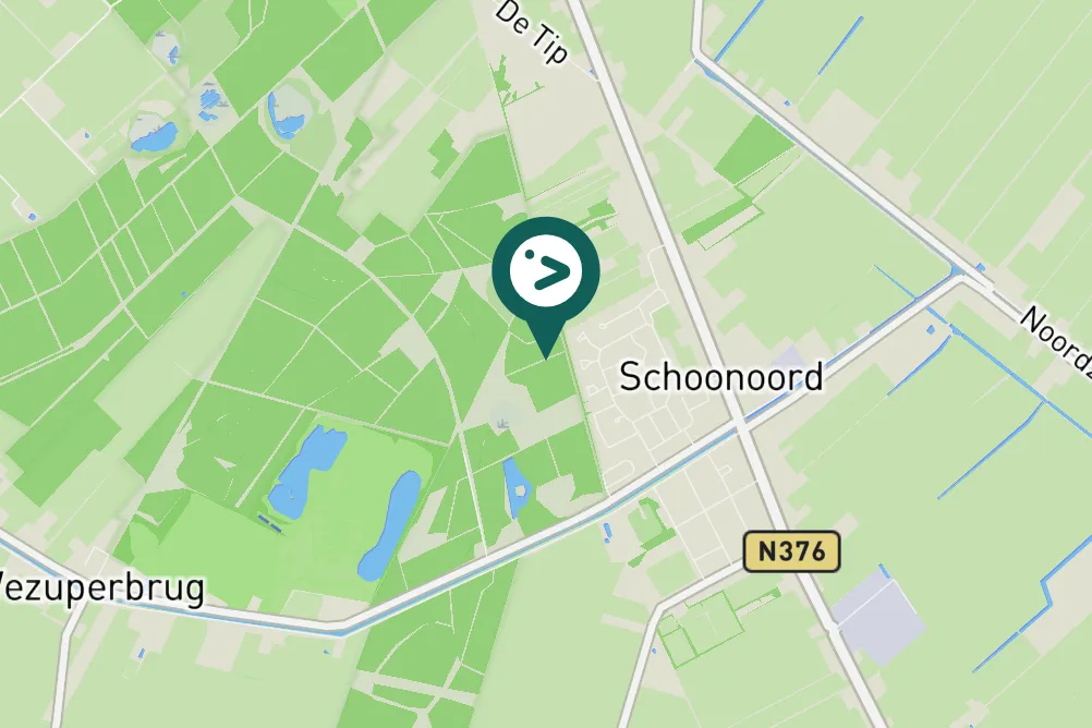 Gespotte Grote bonte specht