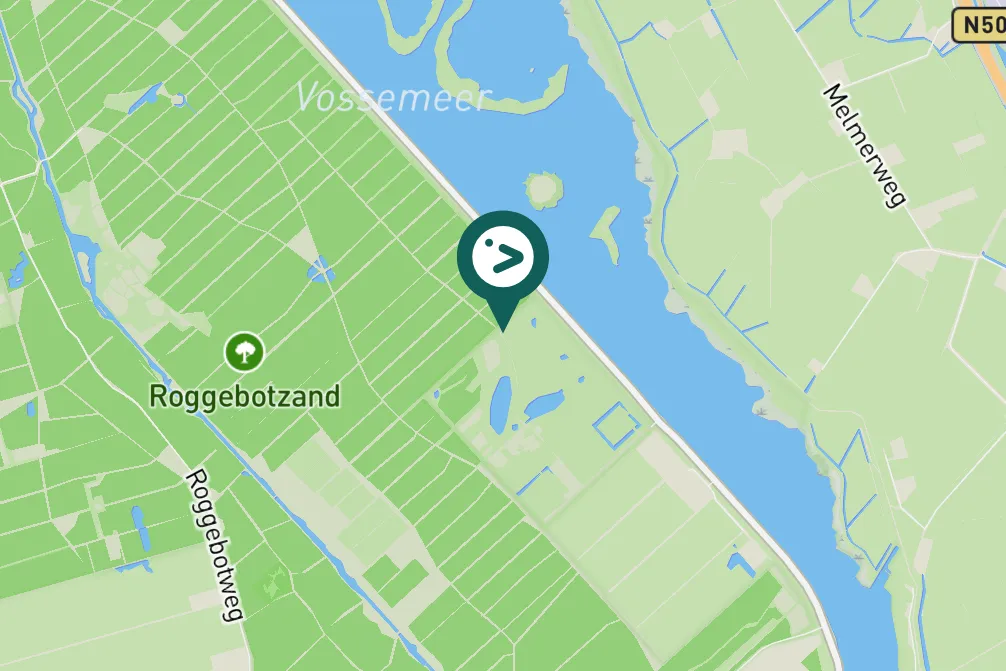 Gespotte Blauwe reiger