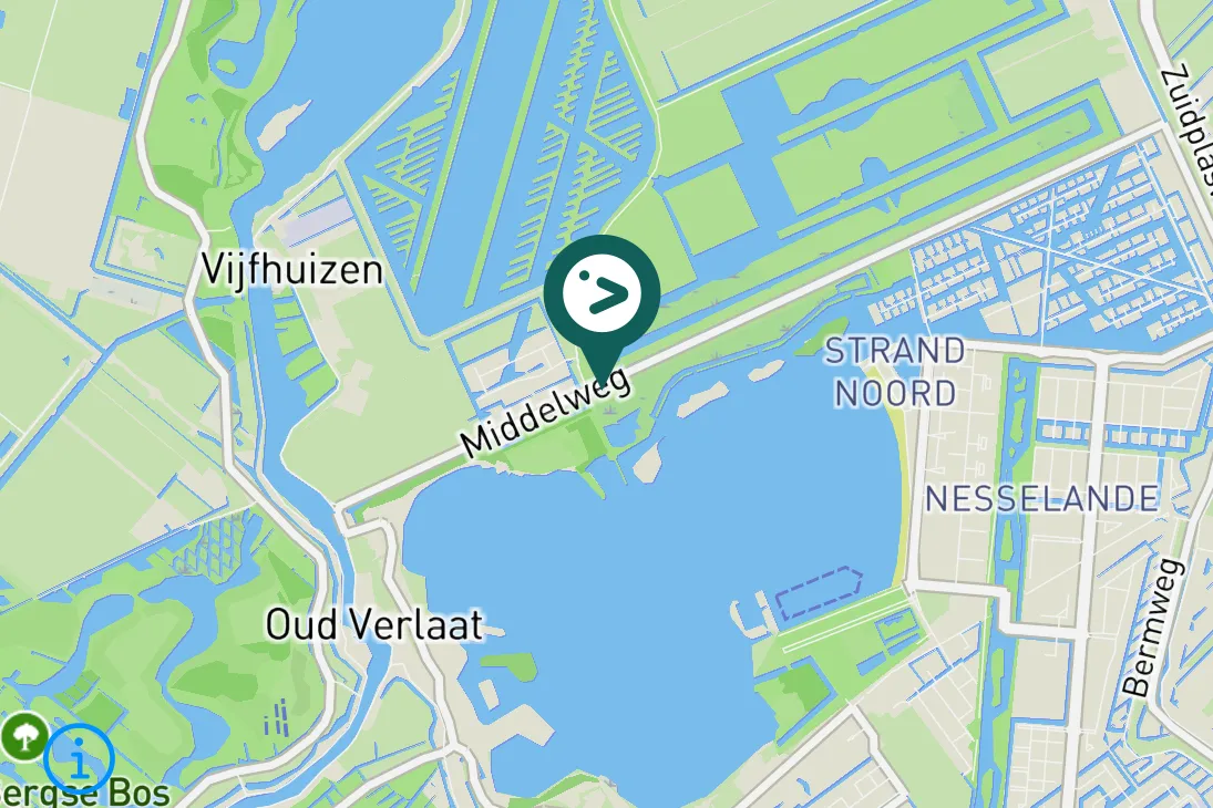 Gespotte Westelijke koereiger