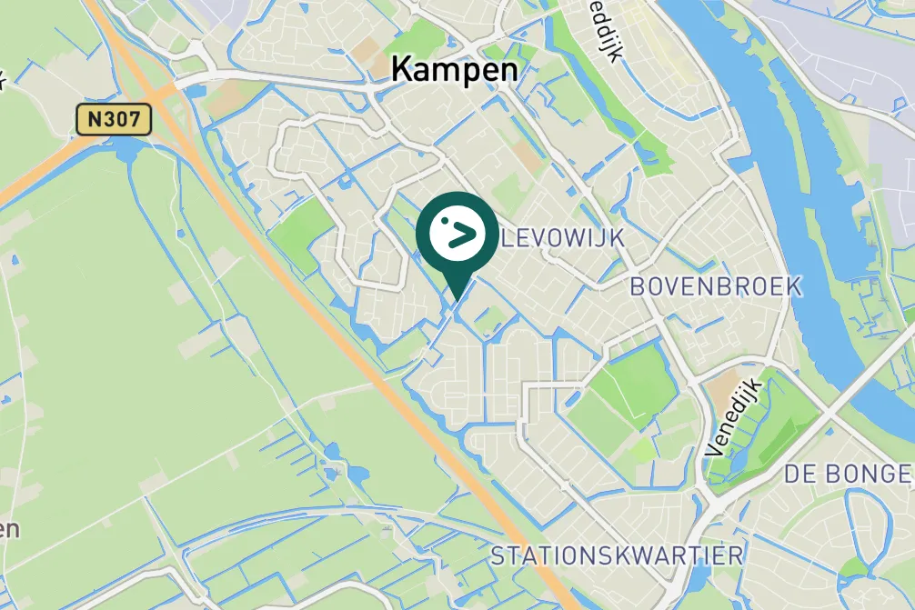 Gespotte Grote Canadese gans