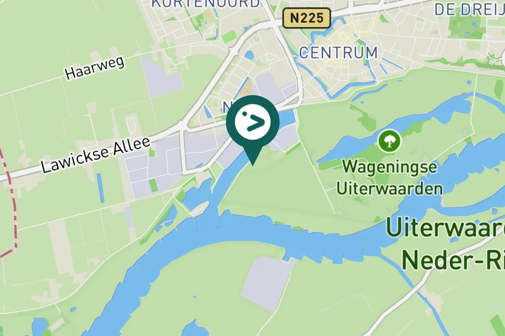 Gespotte Kolgans