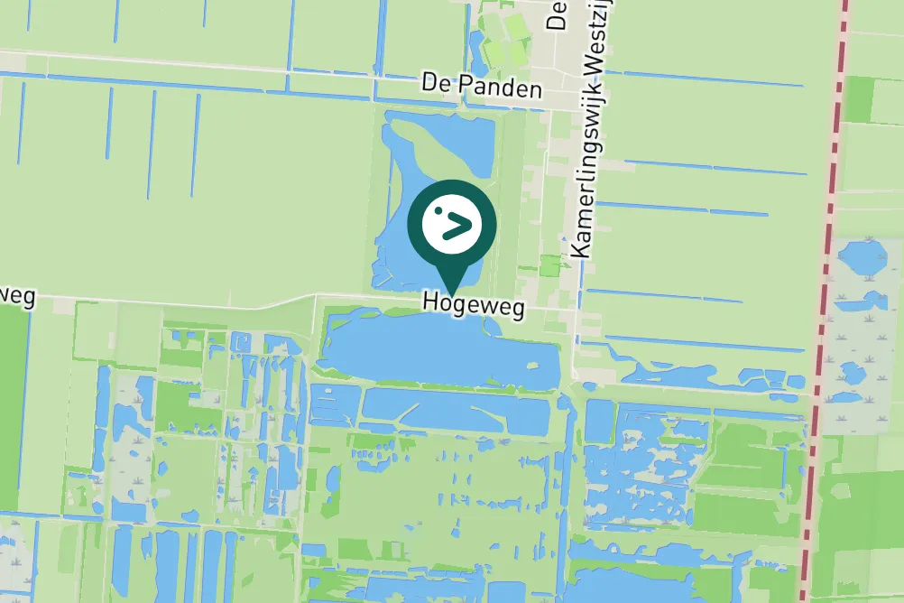 Gespotte Grauwe gans