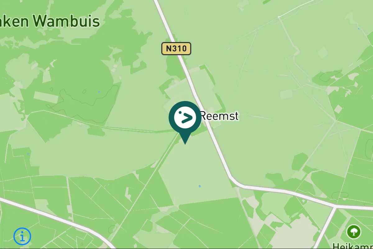 Gespotte Grote zilverreiger