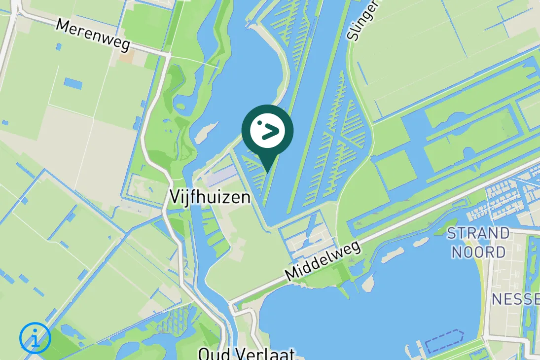 Gespotte Witwangstern