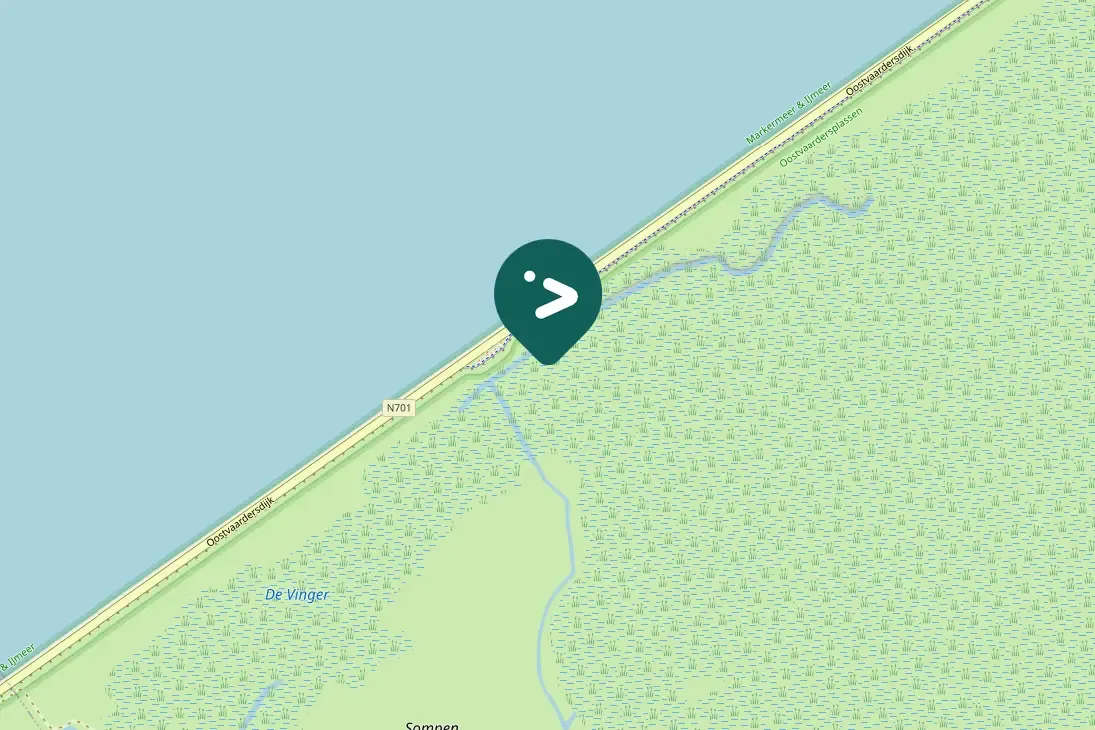 Gespotte Bruine kiekendief