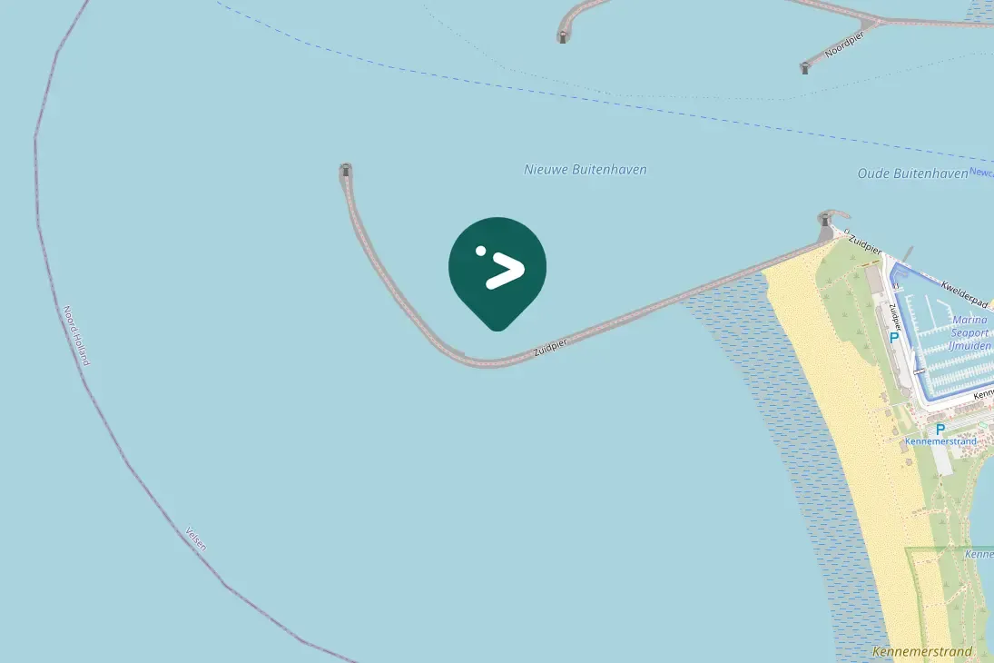 Gespotte Scholekster