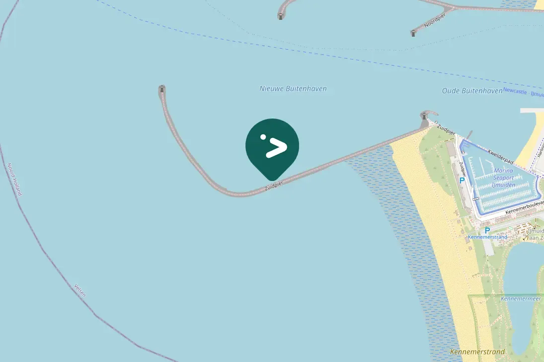 Gespotte Paarse strandloper