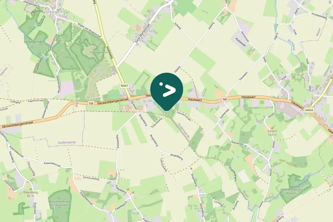 Gespotte Grote gele kwikstaart