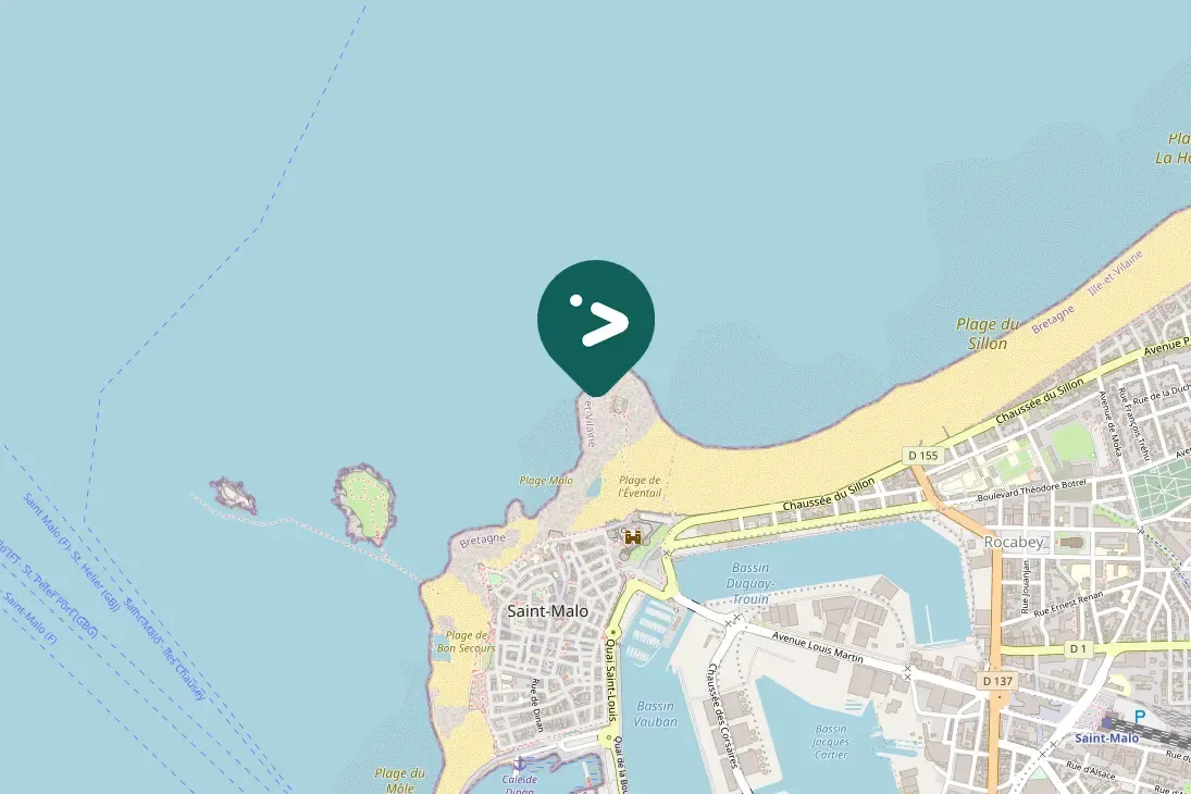 Gespotte Zilvermeeuw