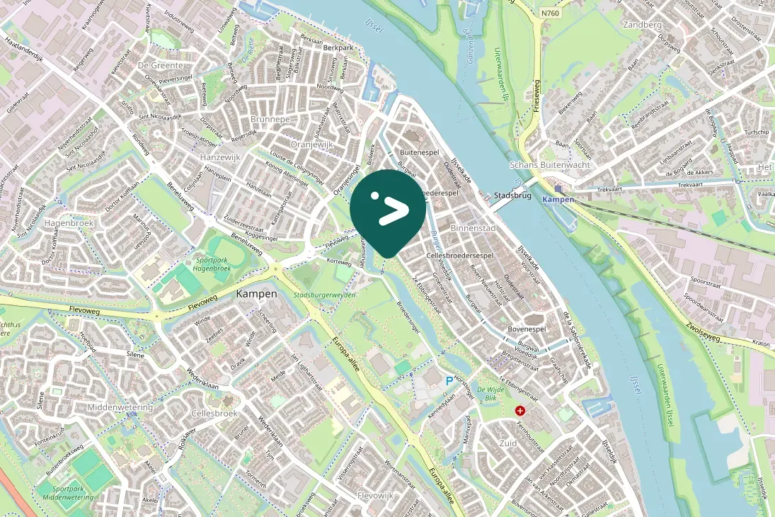 Gespotte Grote mantelmeeuw