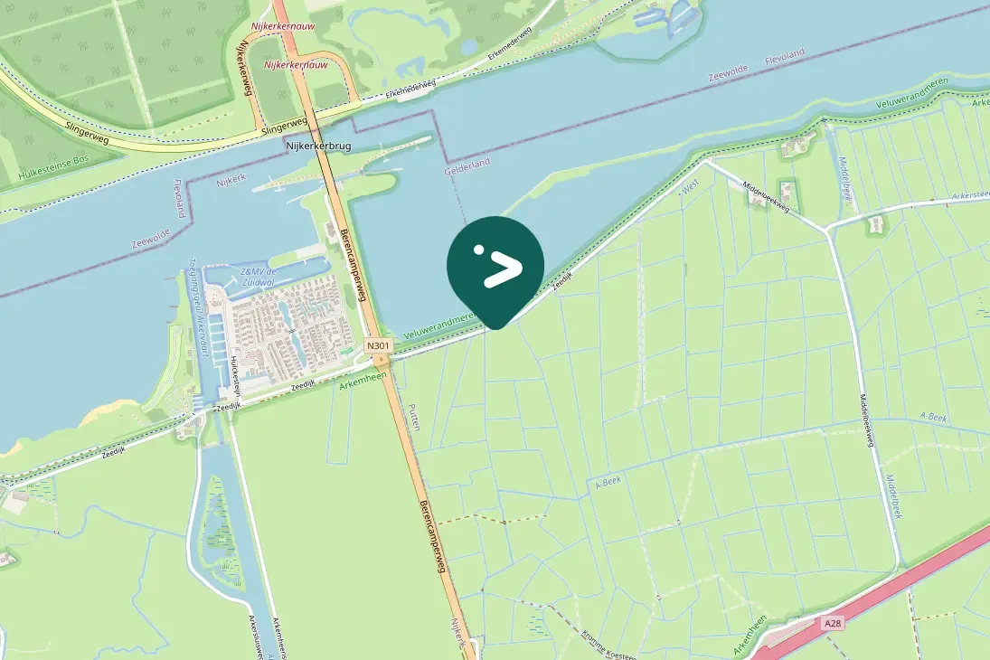 Gespotte Wilde zwaan