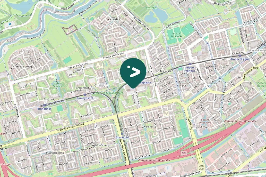 Gespotte Kleine mantelmeeuw