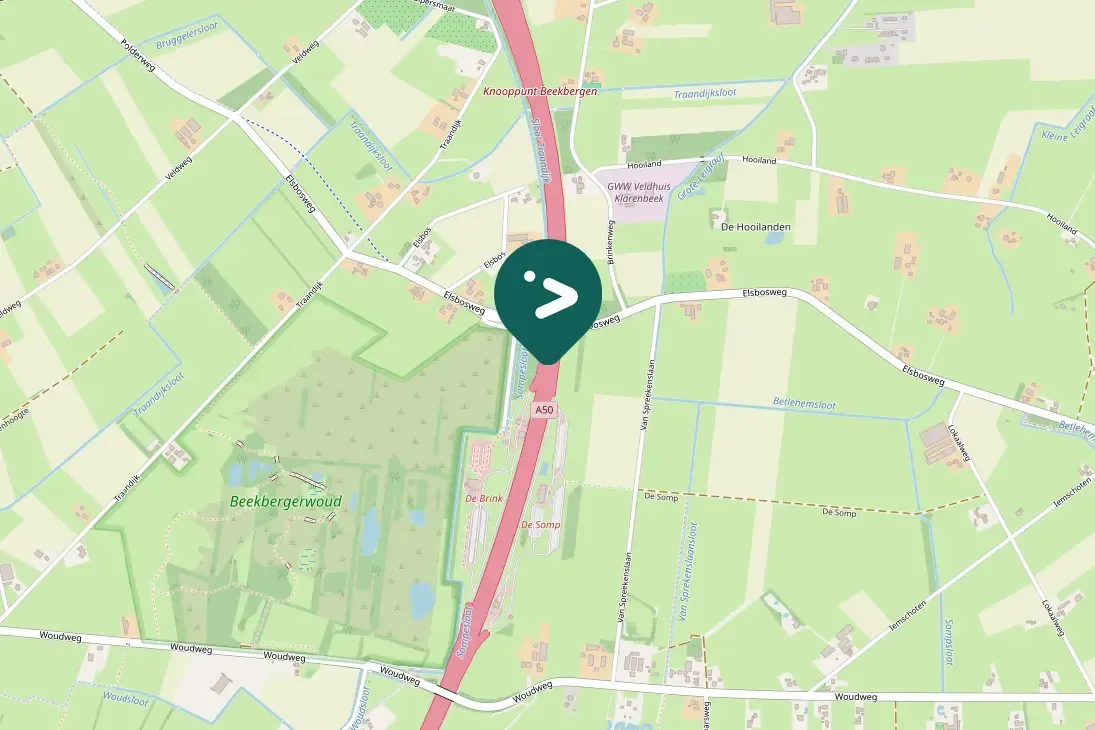 Gespotte Zwarte kraai