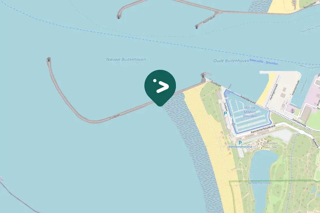 Gespotte Kuifaalscholver