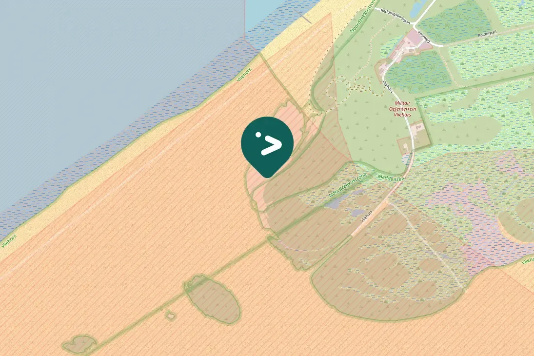 Gespotte Zwarte ruiter