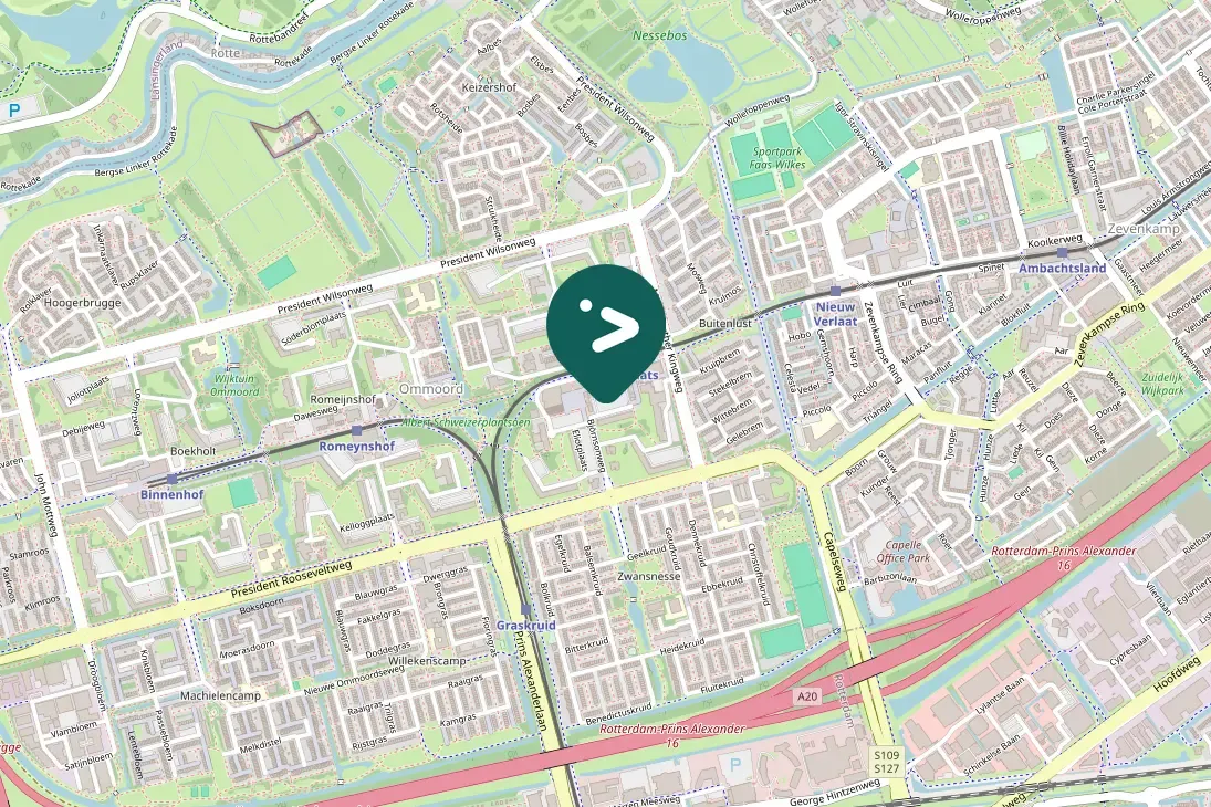 Gespotte Zilvermeeuw