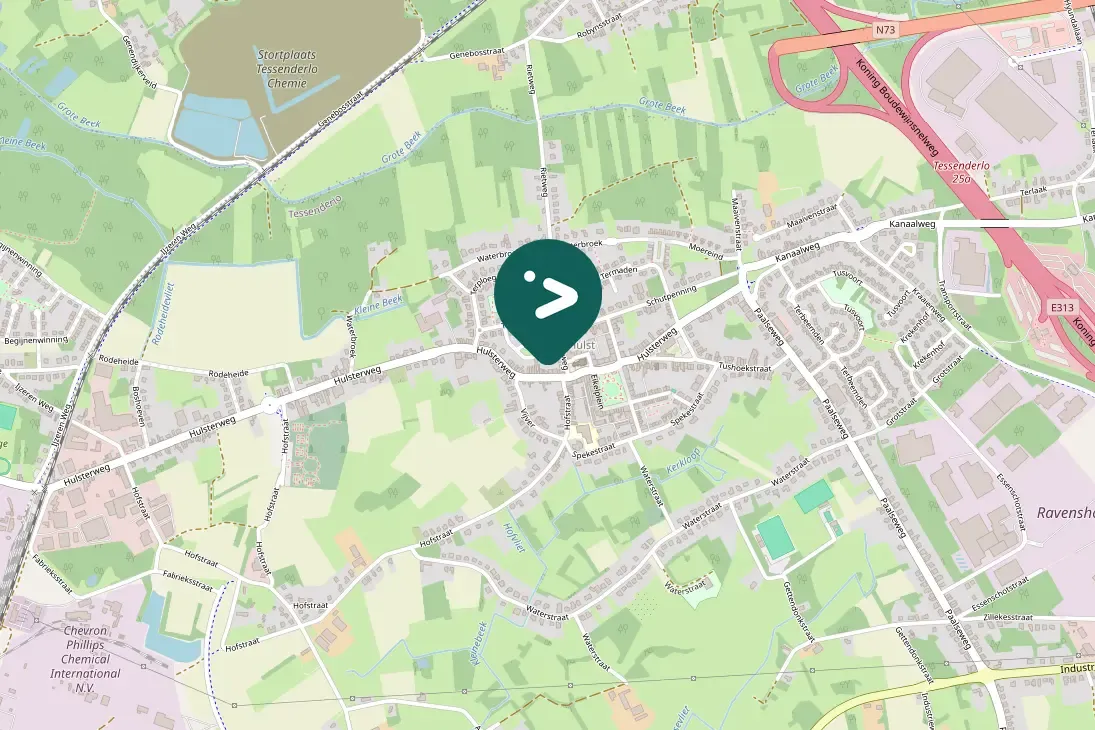 Gespotte Grote zilverreiger