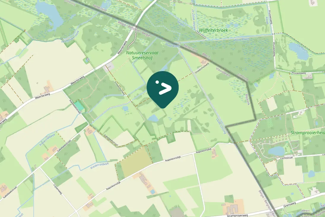 Gespotte Groene specht