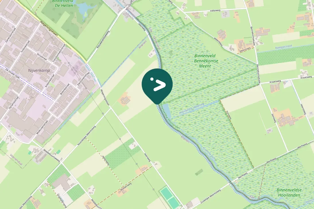 Gespotte Grote zilverreiger