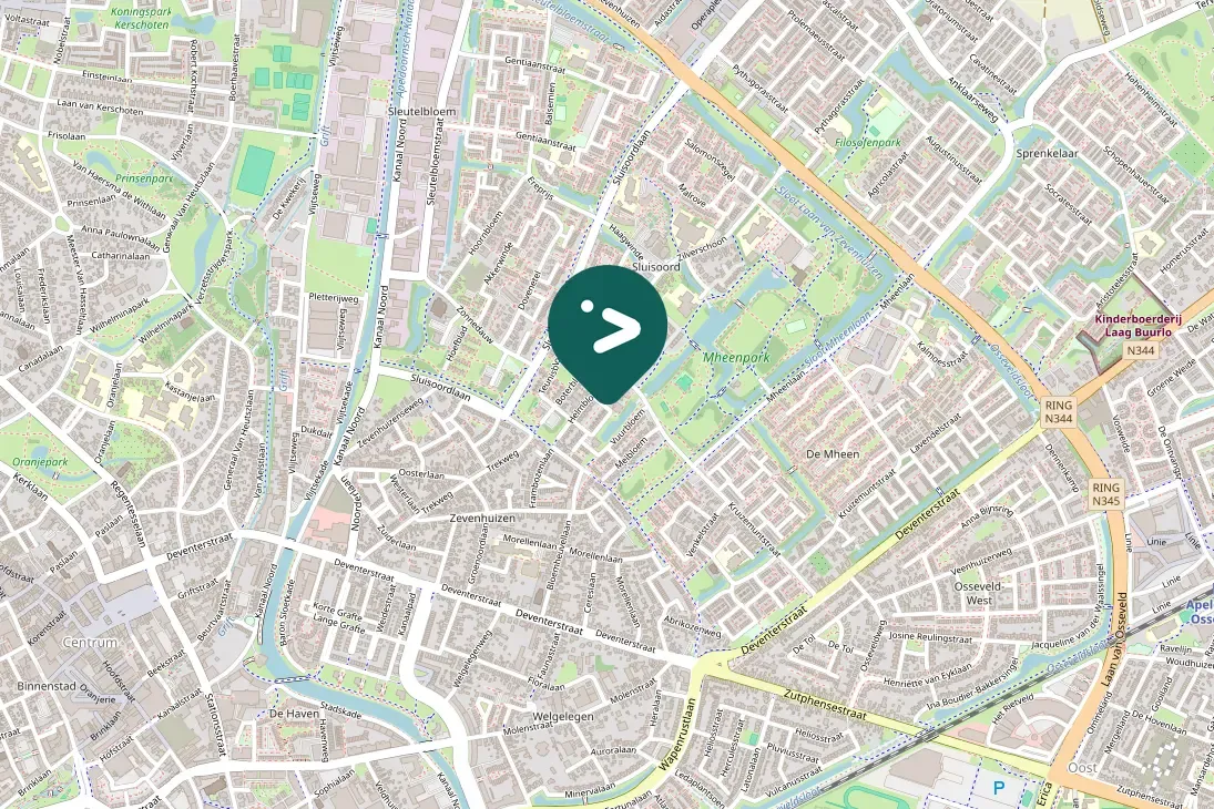 Gespotte Zwarte kraai