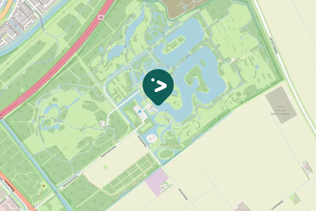 Gespotte Mandarijneend