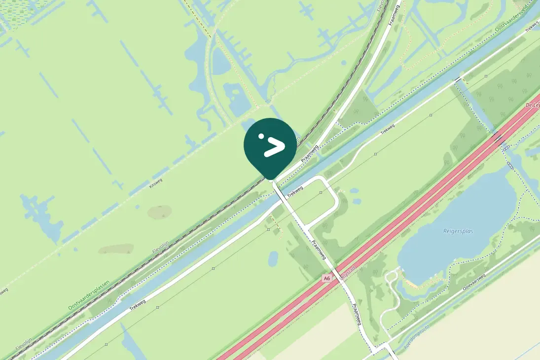 Gespotte Wilde zwaan