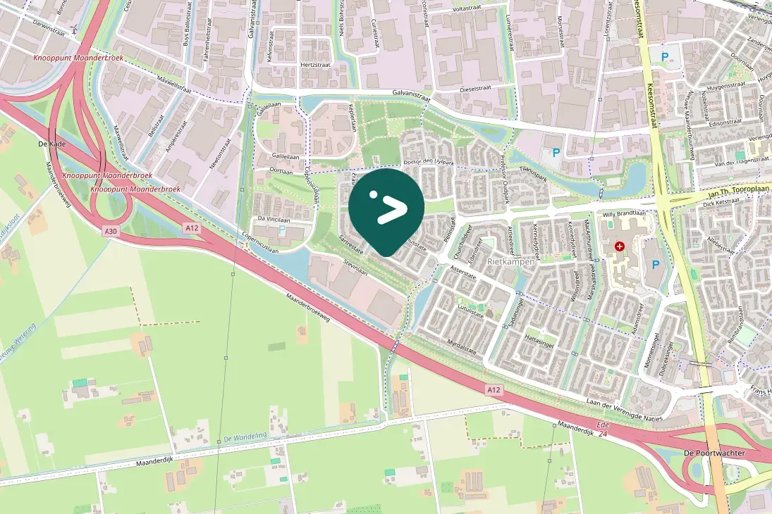 Gespotte Zanglijster