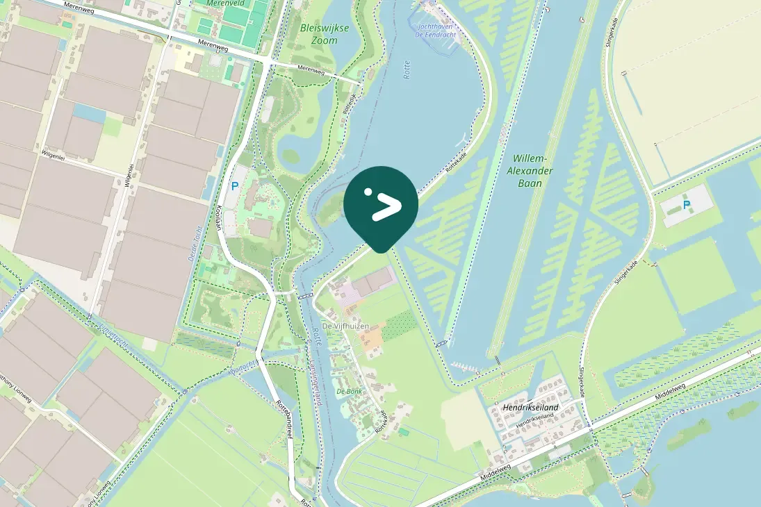 Gespotte Grote Canadese gans