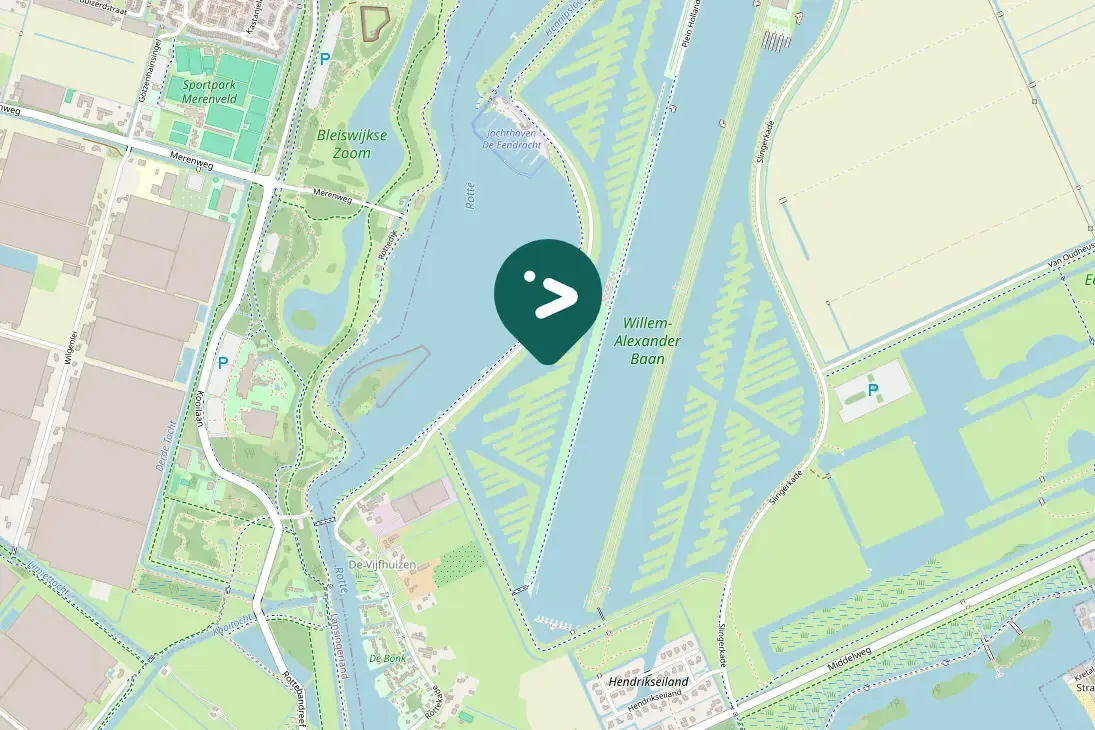 Gespotte Knobbelzwaan