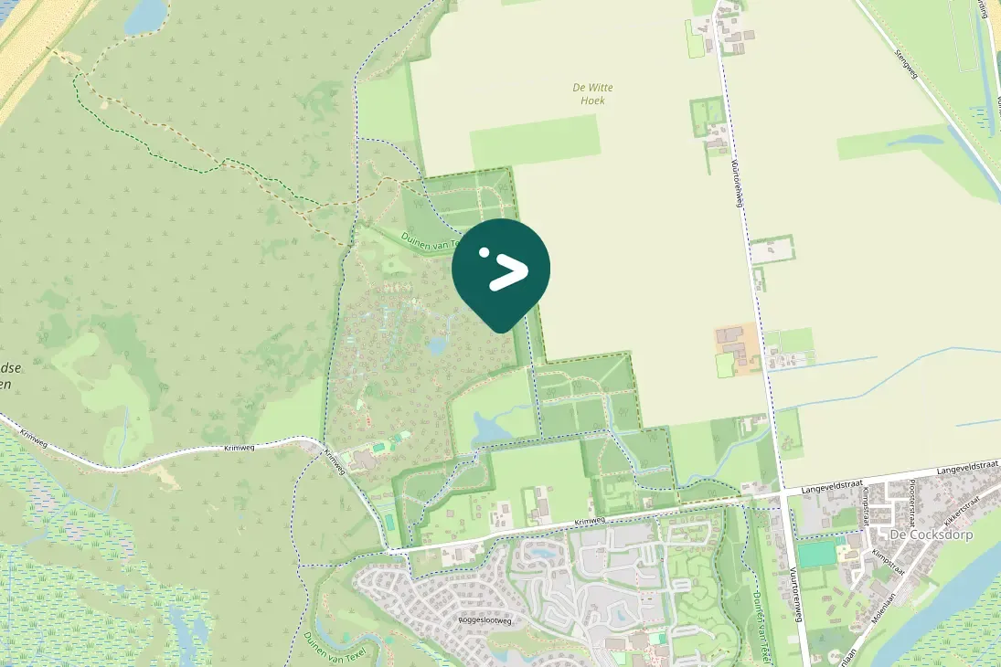 Gespotte Winterkoning