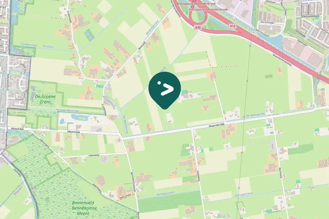 Gespotte Grote zilverreiger