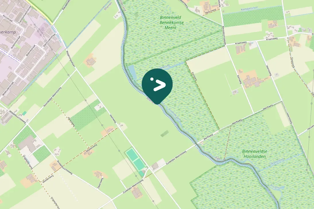 Gespotte Grauwe gans