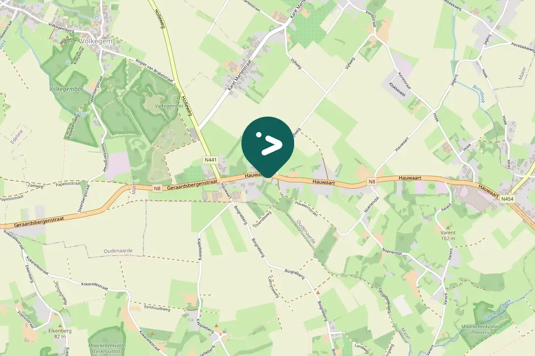 Gespotte Zwarte kraai