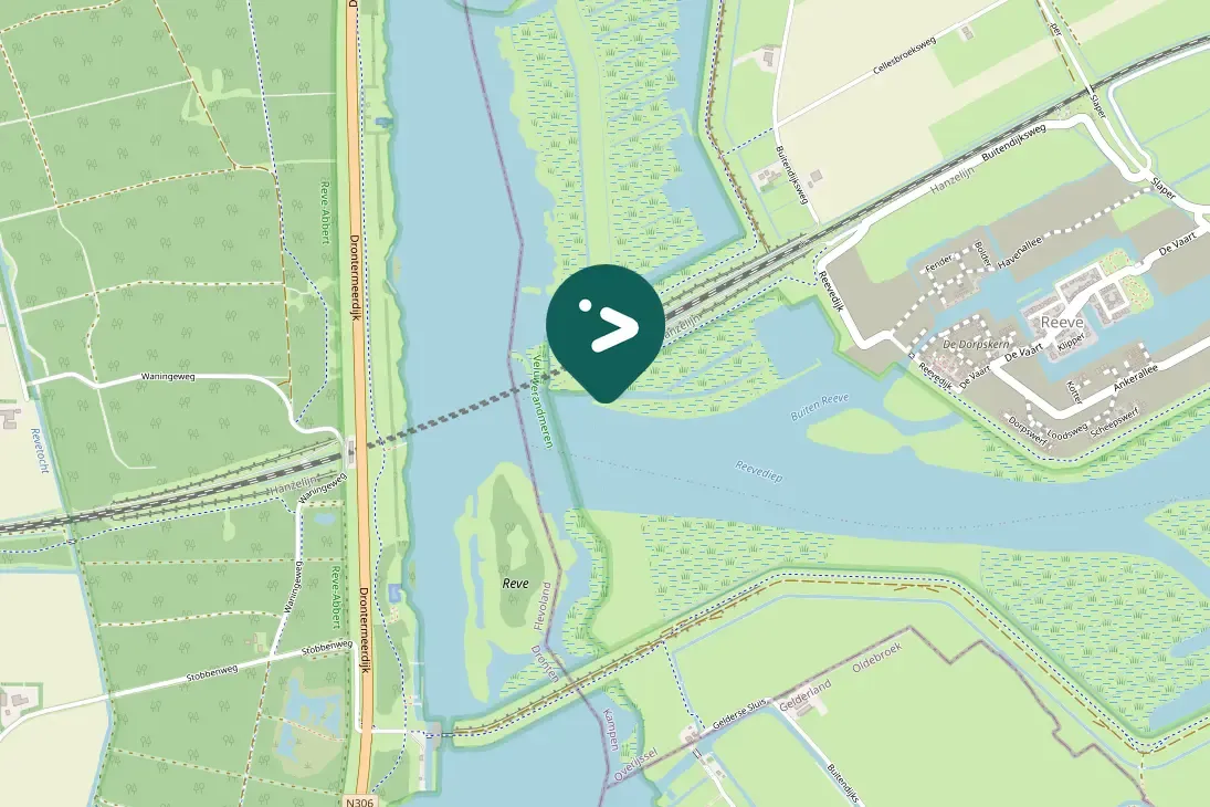 Gespotte Knobbelzwaan