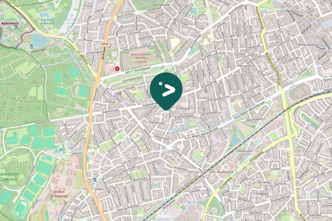 Gespotte Zwarte kraai