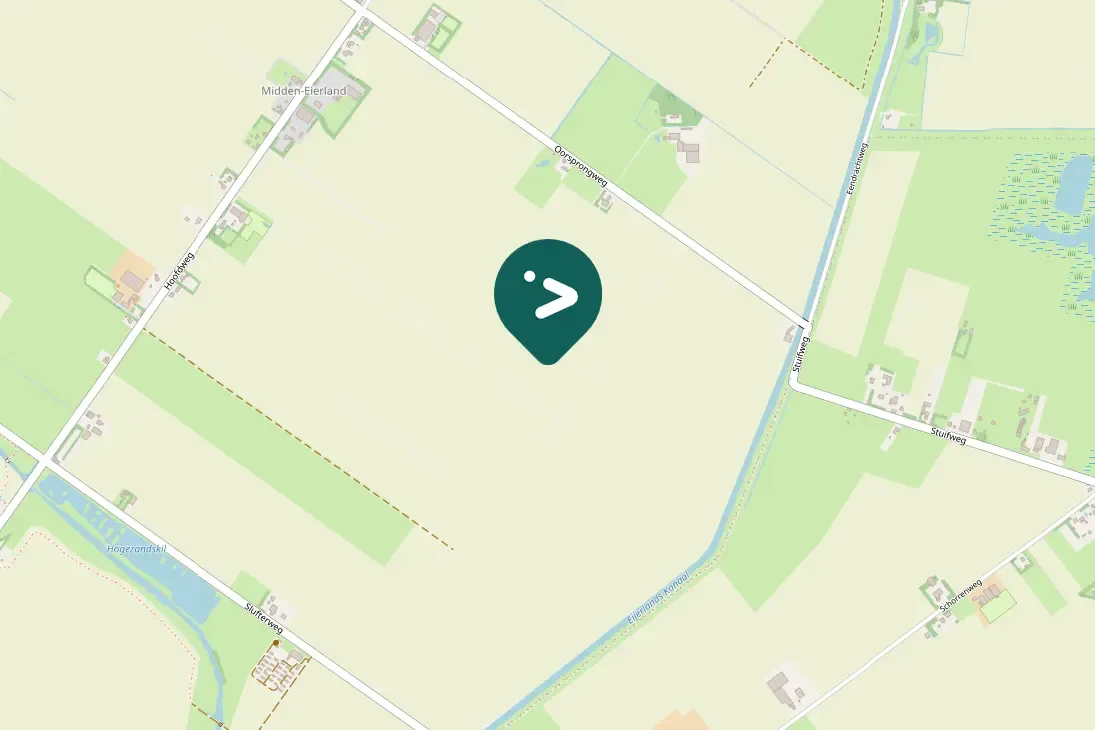 Gespotte Wilde zwaan