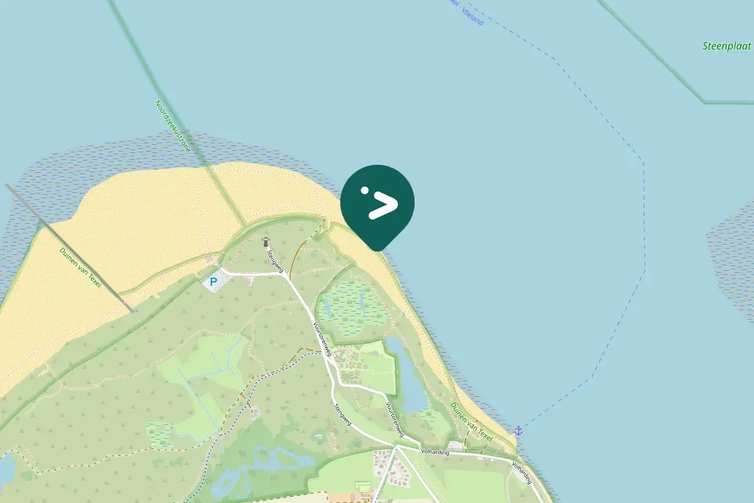 Gespotte Drieteenstrandloper