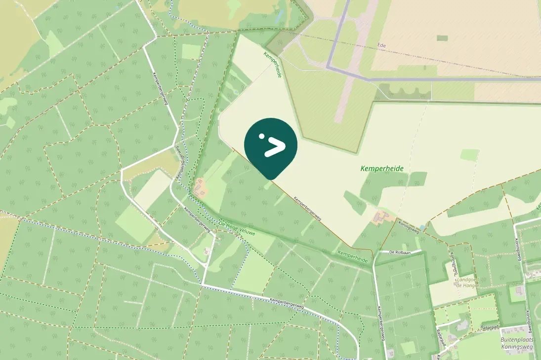 Gespotte Grote zilverreiger