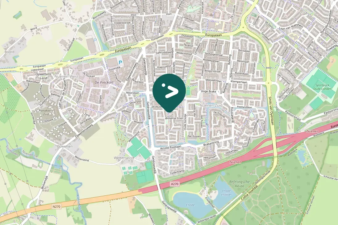 Gespotte Zwarte kraai