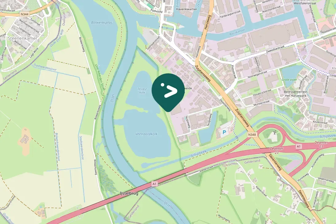 Gespotte Aalscholver