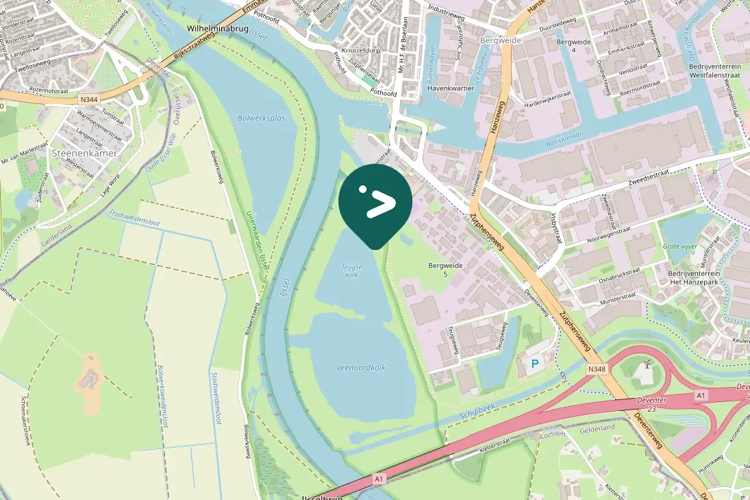 Gespotte Grauwe gans